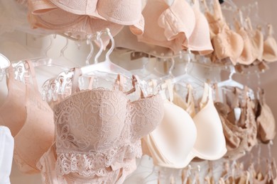 Photo of Many different beautiful women's bras in lingerie store, closeup