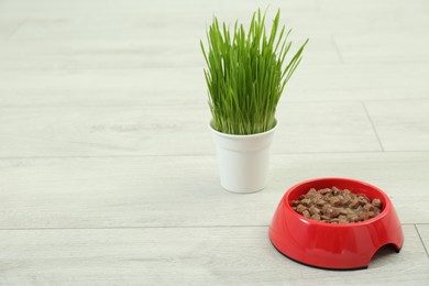 Photo of Bowl of wet pet food and green grass on floor, space for text