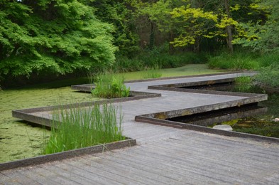 Photo of Beautiful view of wooden pond bridge and green plants in park