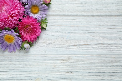 Flat lay composition with beautiful aster flowers on white wooden table. Space for text