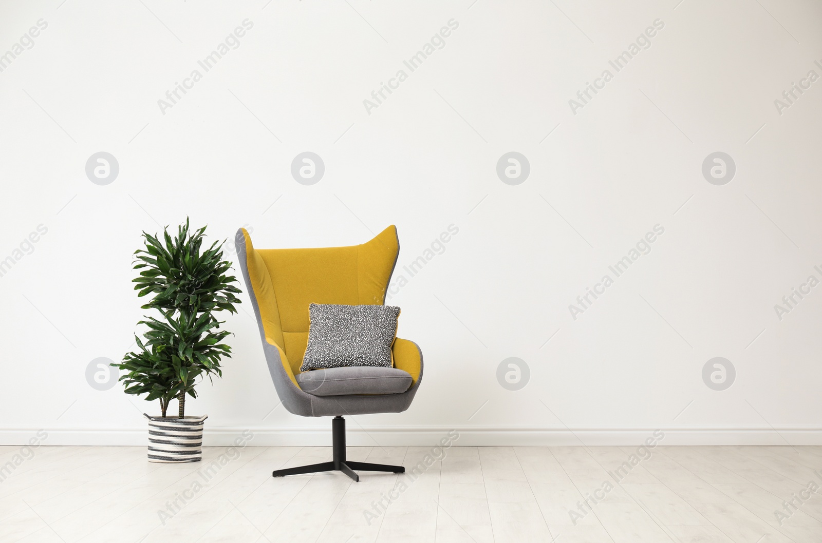 Photo of Stylish living room interior with comfortable armchair and houseplant near white wall. Space for text