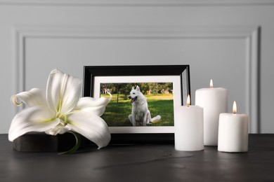 Photo of Frame with picture of dog, burning candles and lily flower on black table. Pet funeral
