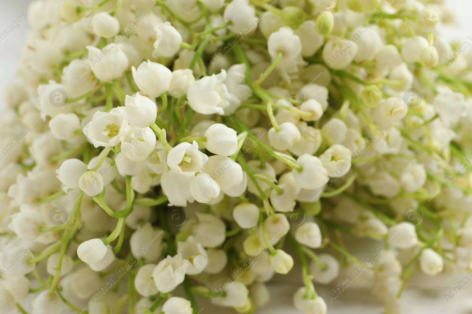 Photo of Beautiful lily of the valley bouquet as background, closeup