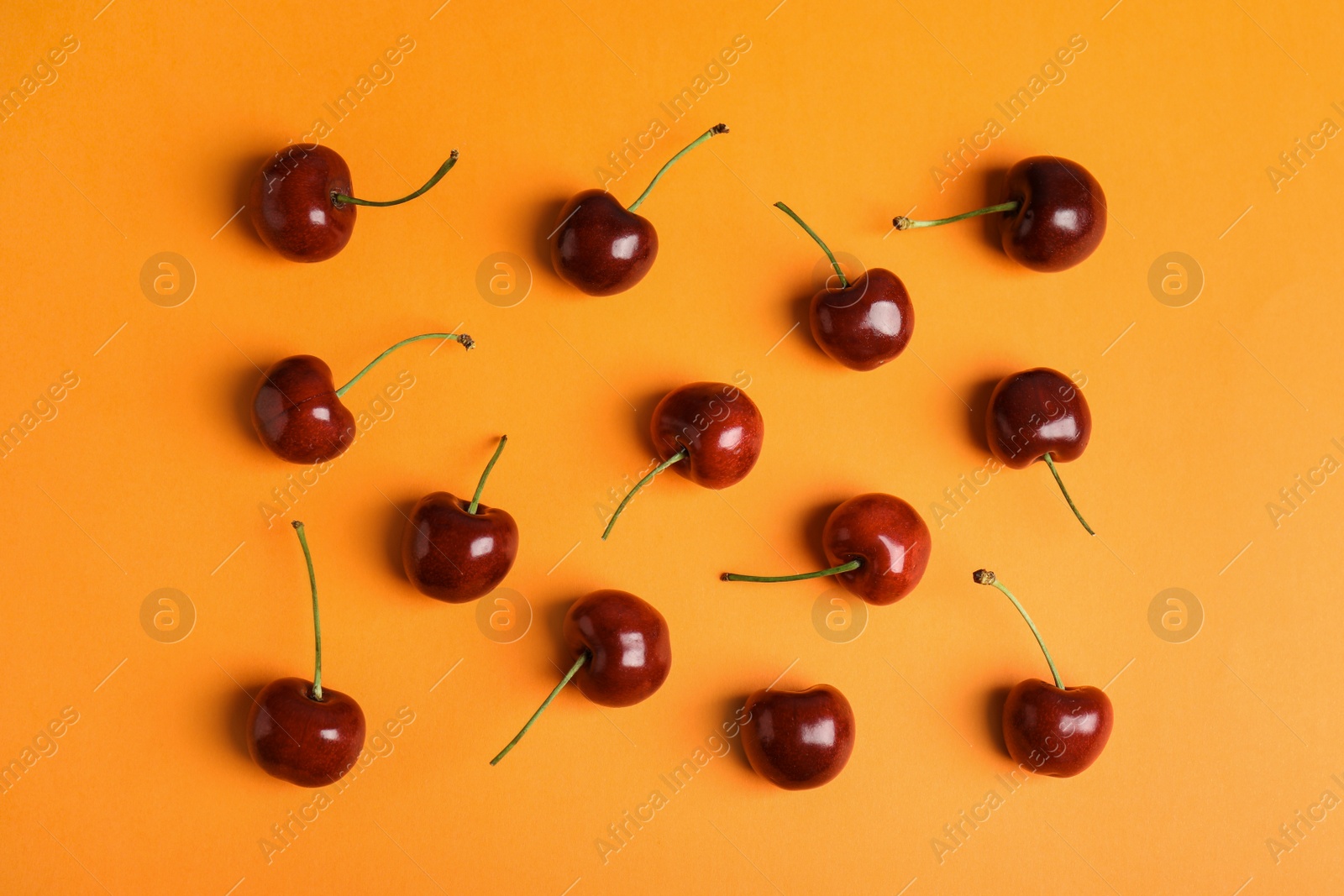 Photo of Many ripe sweet cherries on orange background, flat lay