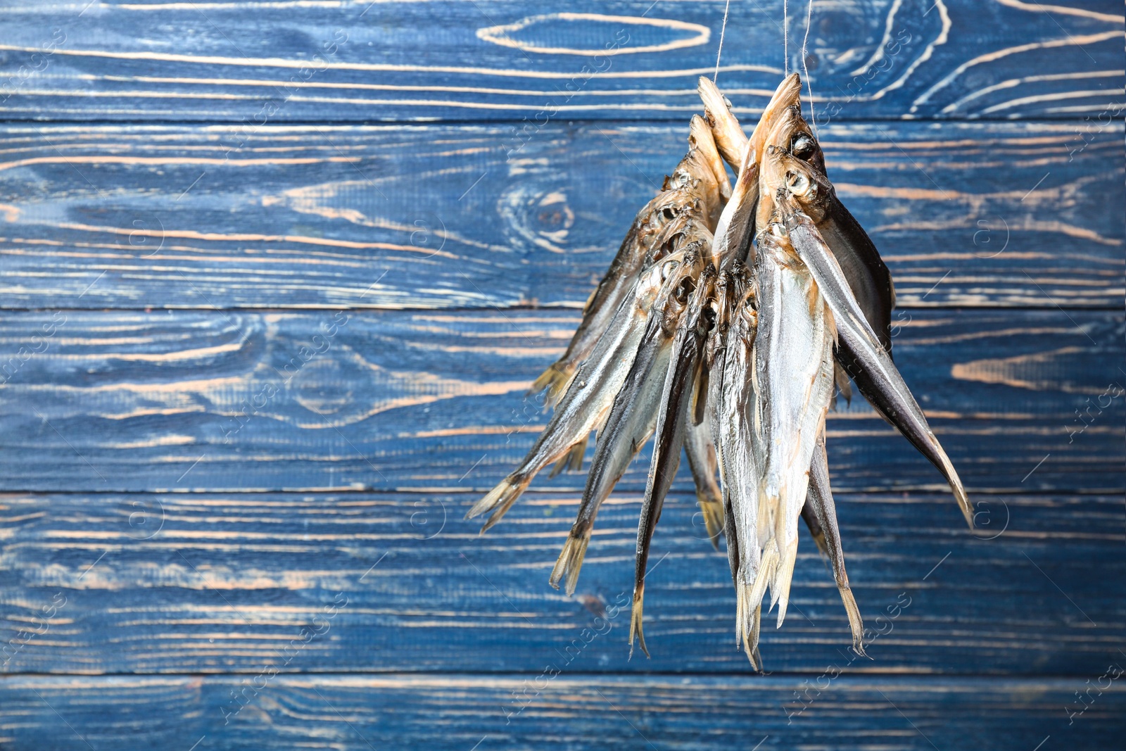 Photo of Dried fish hanging on rope against blue wooden background. Space for text