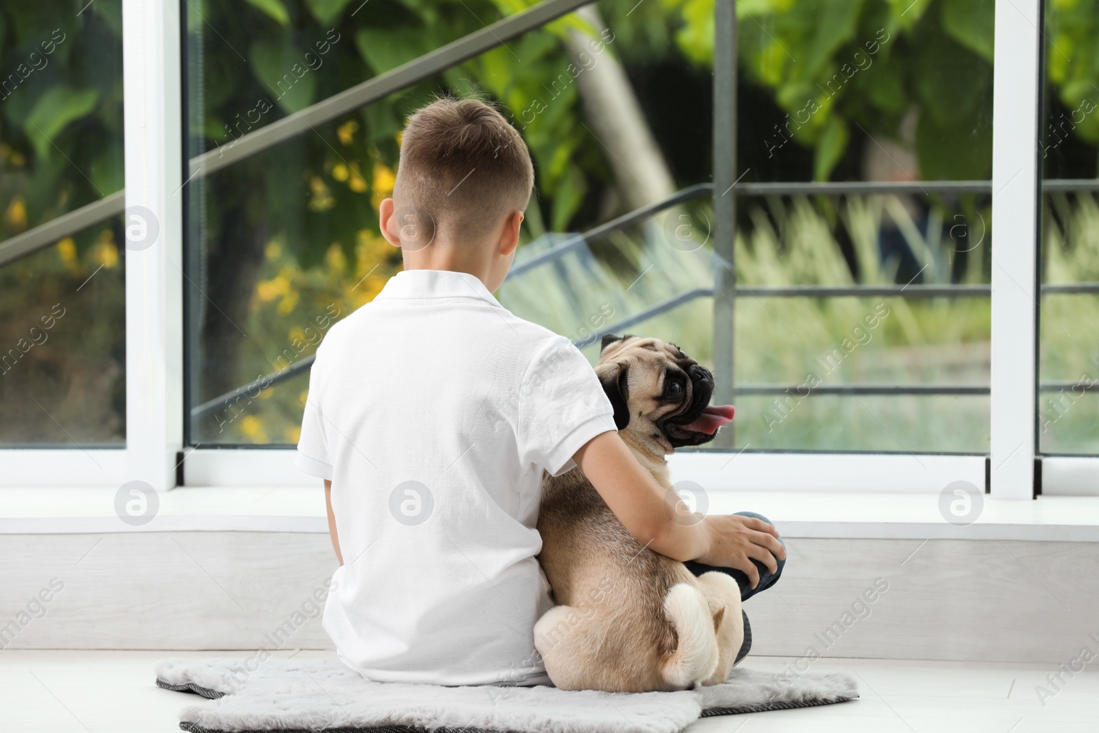 Photo of Boy with his cute pug near window indoors, back view
