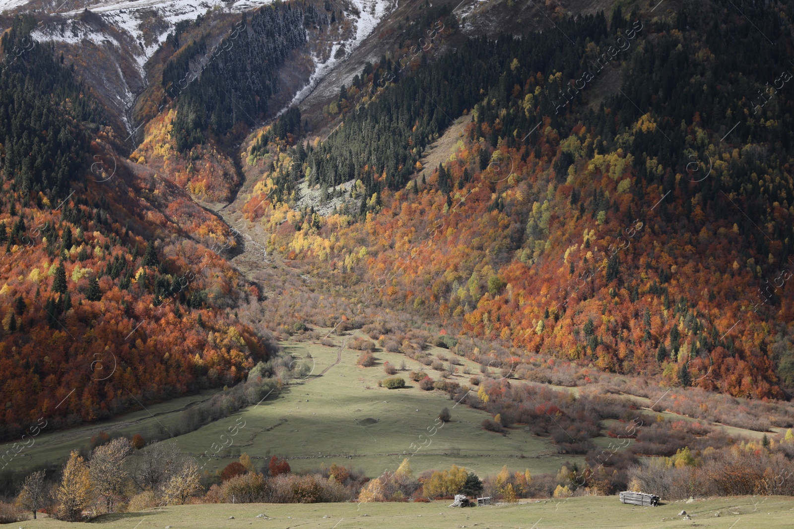 Photo of Picturesque view of mountain landscape with forest and meadow on autumn day