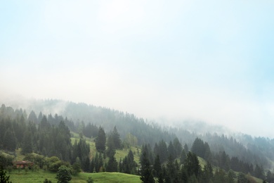 Photo of Picturesque landscape with mountain forest covered in mist