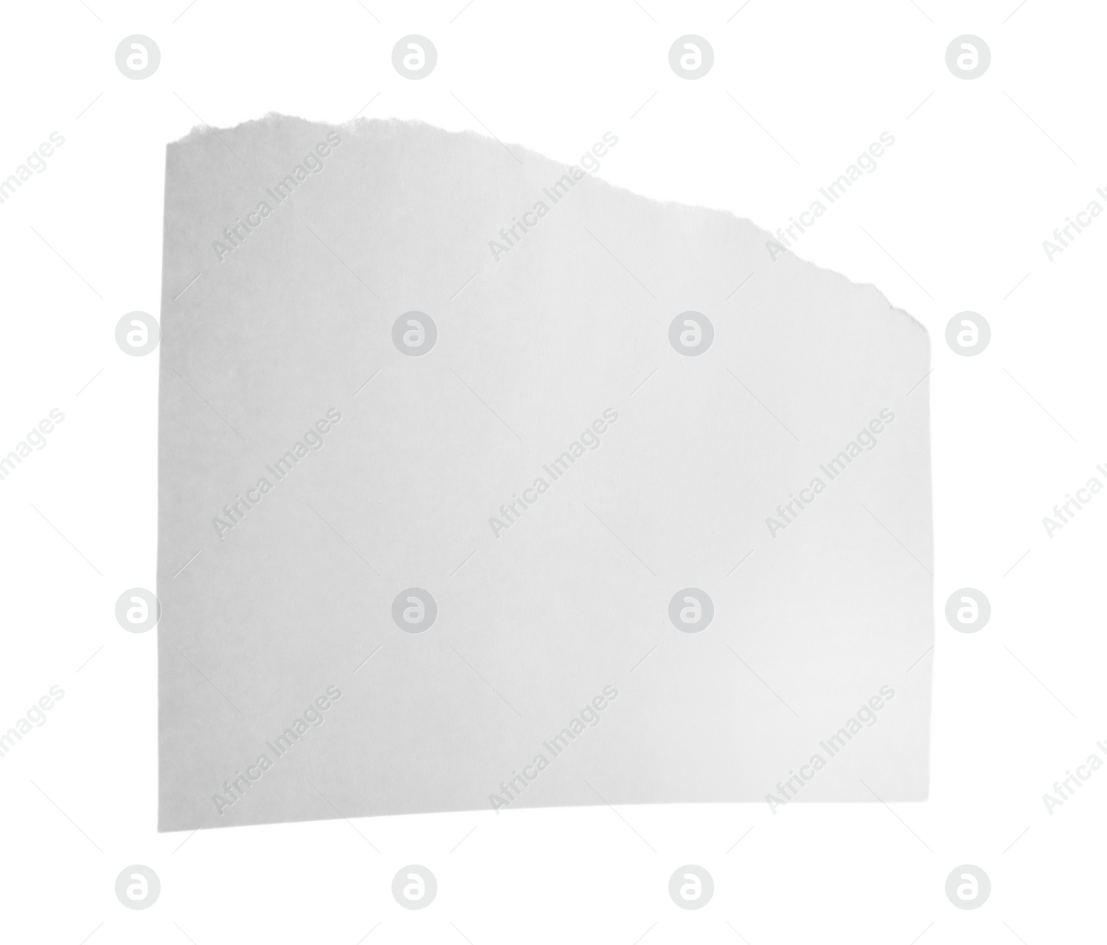 Photo of Piece of blank notebook paper isolated on white. Space for design