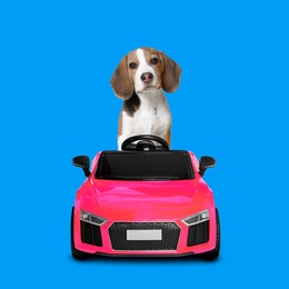 Image of Adorable Beagle puppy in toy car on blue background