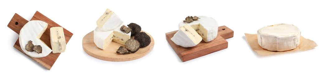 Image of Set with delicious camambert cheese with truffles on white background. Banner design