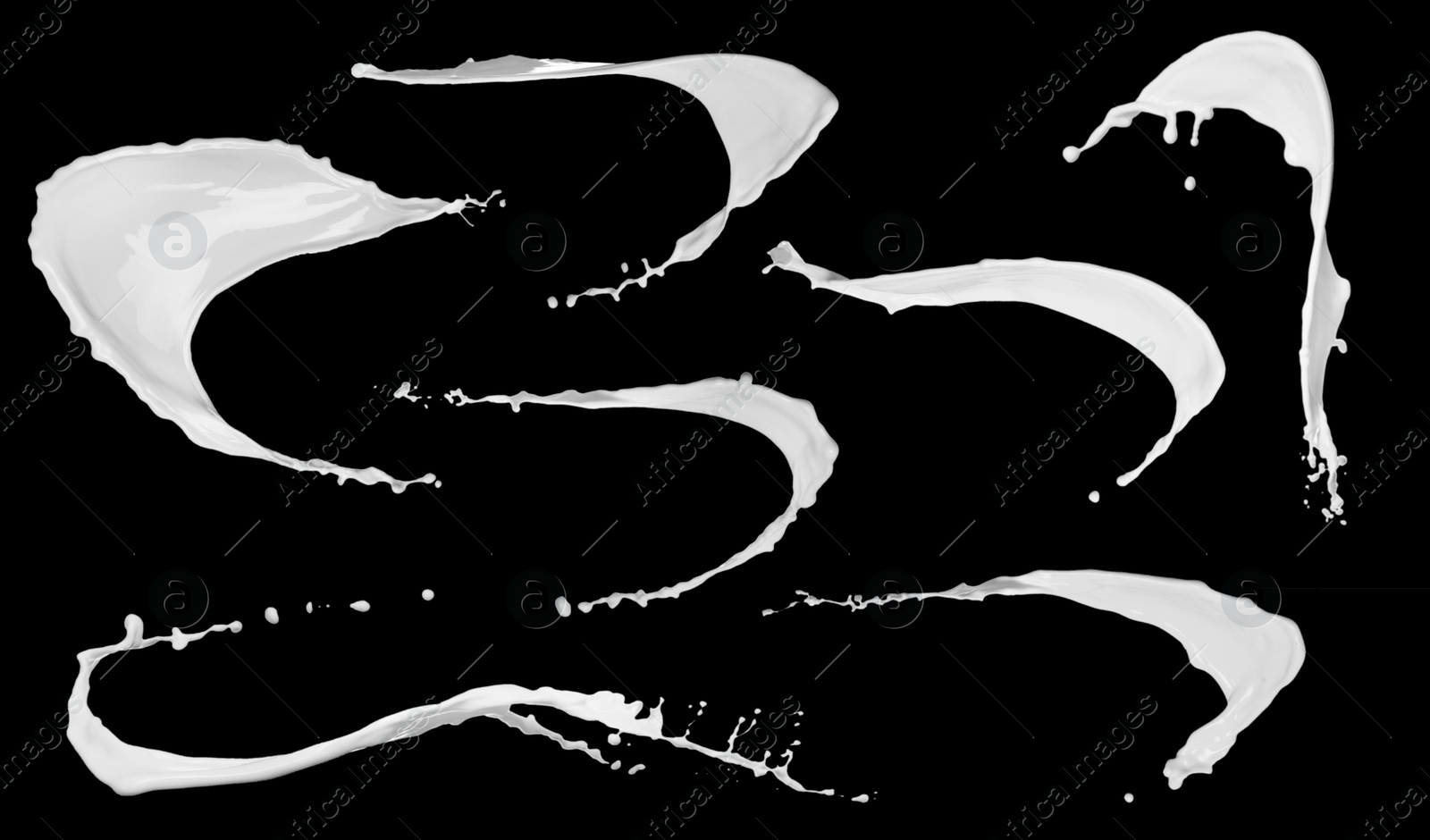 Image of Set with abstract splashes of milk on black background 