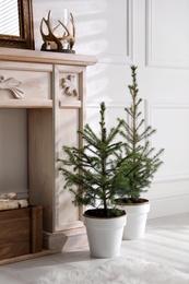 Photo of Beautiful room interior with potted fir trees and fireplace