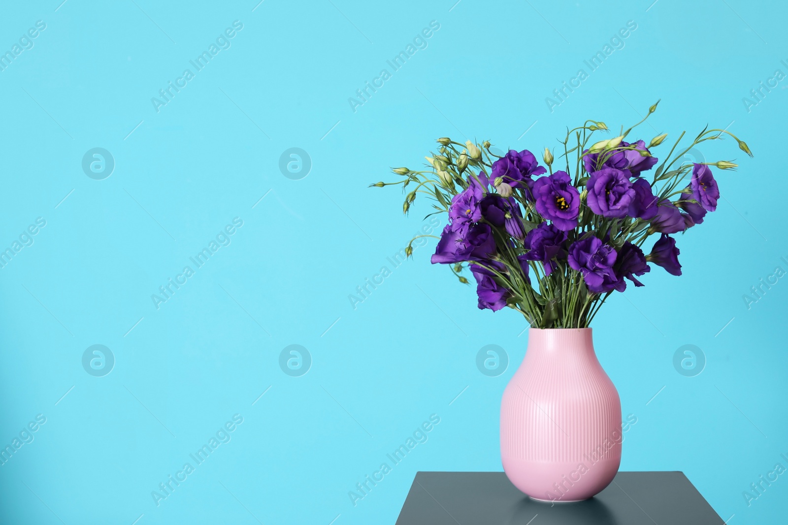 Photo of Beautiful bouquet of purple eustoma flowers in vase and space for text on color background