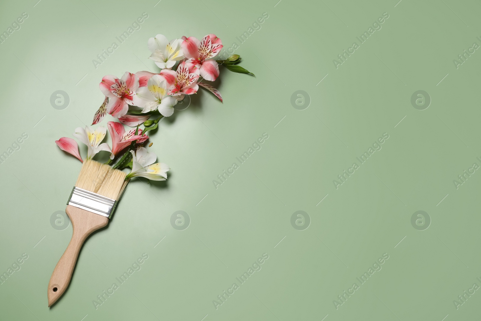 Photo of Composition with painting brush and beautiful alstroemerias on green background, above view. Space for text