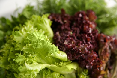 Photo of Fresh lettuce leaves as background, closeup view