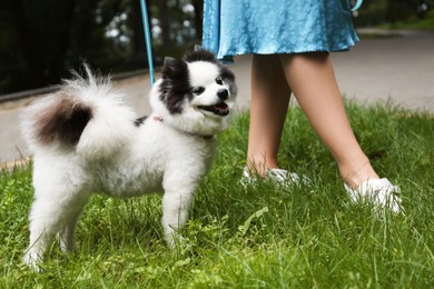 Photo of Woman with cute fluffy Pomeranian dog walking in park, closeup