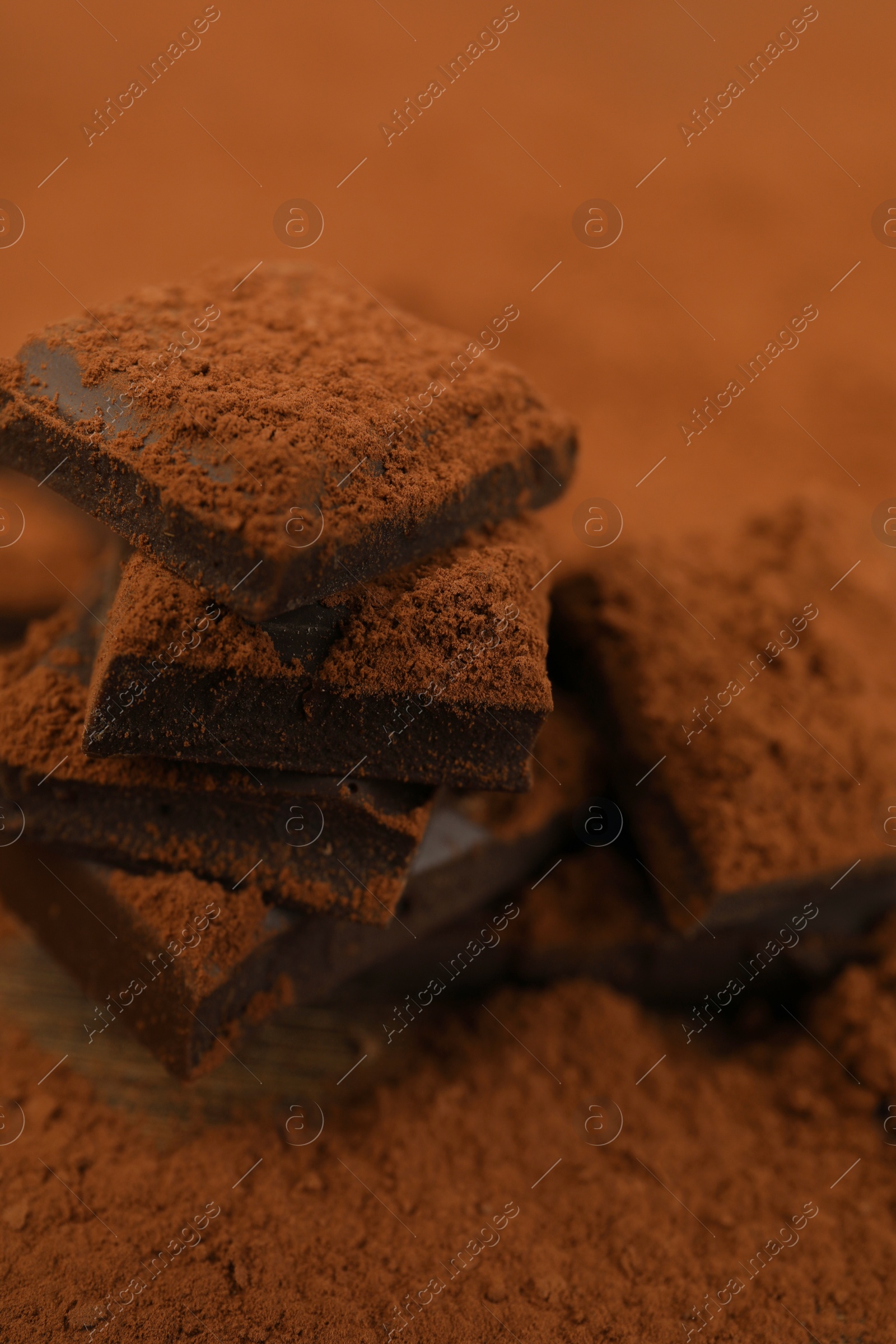 Photo of Pieces of tasty chocolate and cocoa powder on table, closeup