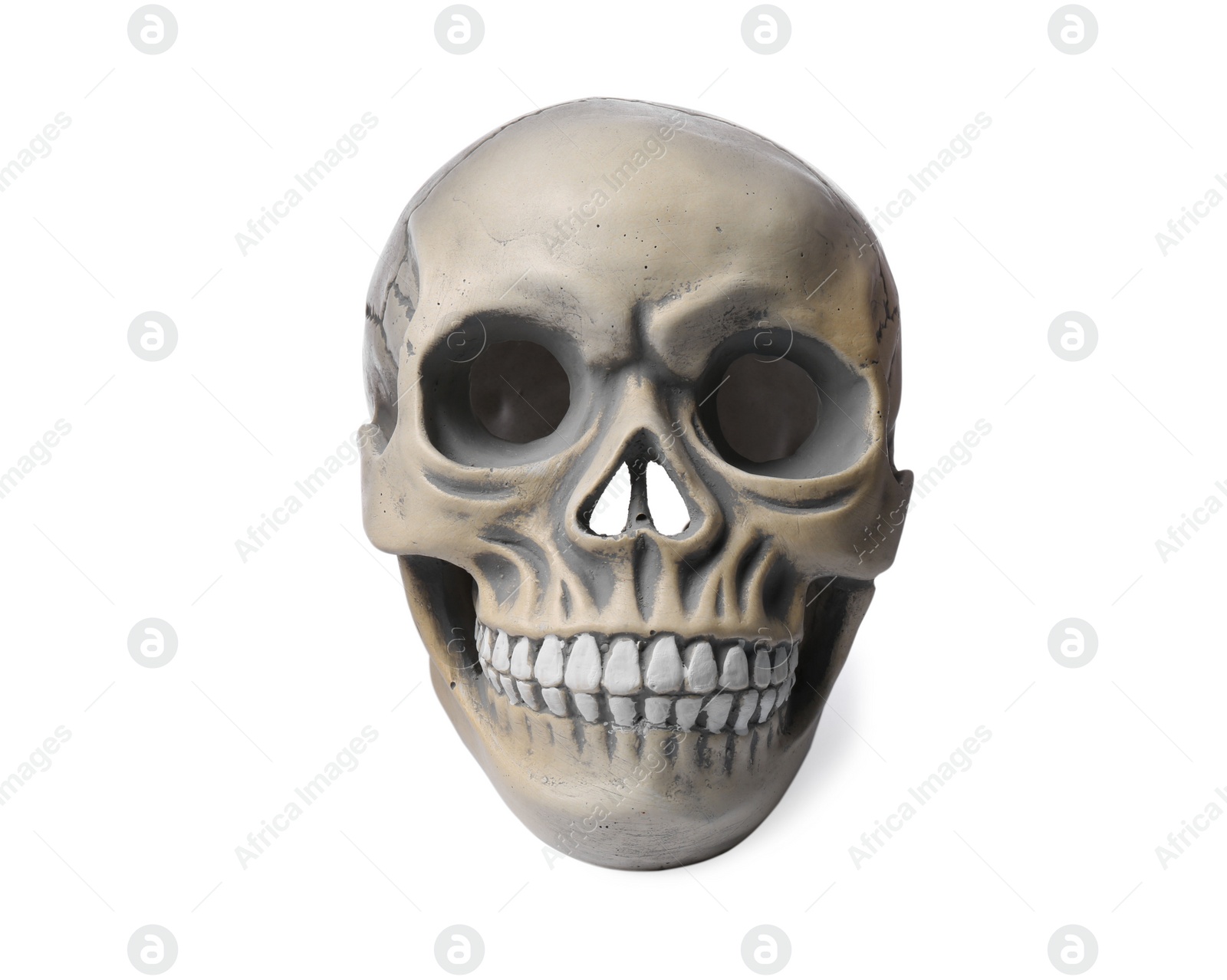 Photo of Human skull with teeth isolated on white