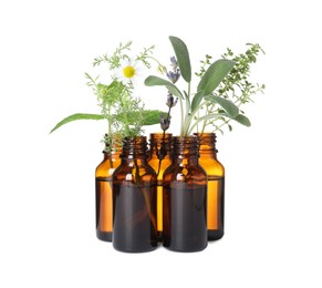 Photo of Many bottles with essential oils and plants isolated on white