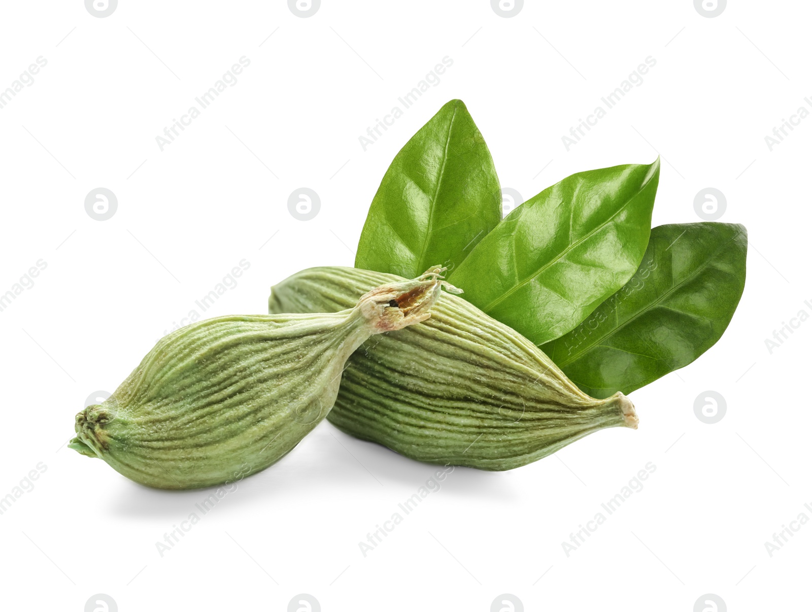 Image of Dry cardamom pods and green leaves on white background