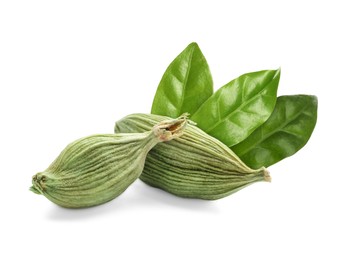 Image of Dry cardamom pods and green leaves on white background