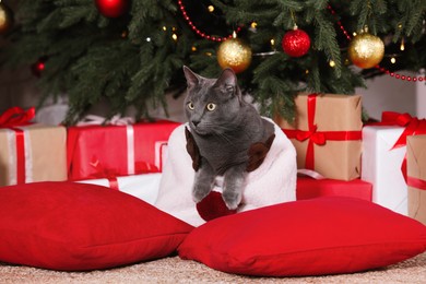 Cute cat near gift boxes and Christmas tree at home