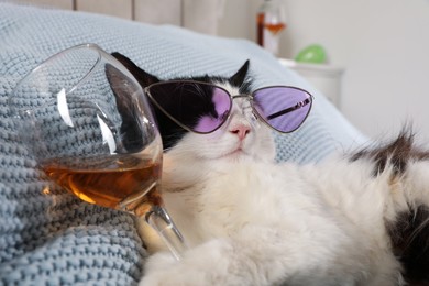 Photo of Cute cat with sunglasses and glass of alcohol on bed at home. After party hangover