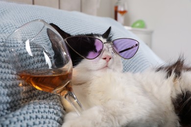 Cute cat with sunglasses and glass of alcohol on bed at home. After party hangover