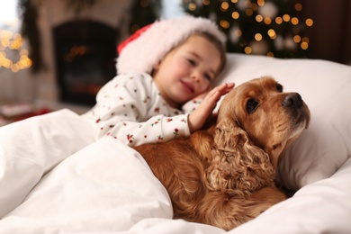Cute little girl in Santa hat lying in bed near her English Cocker Spaniel. Christmas celebration
