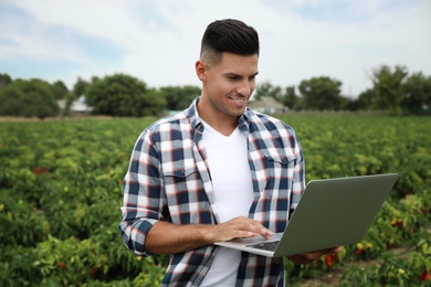 Man with laptop in field. Agriculture technology