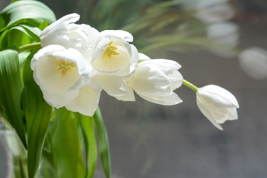 Photo of Bouquet of beautiful white tulip flowers near window indoors, closeup