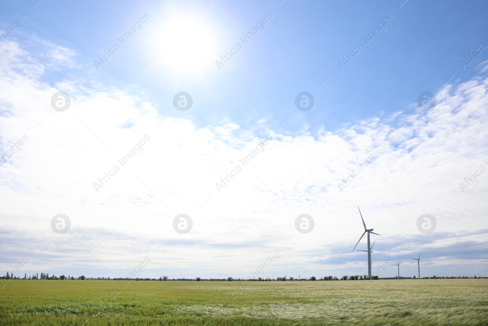 Photo of Beautiful view of field with wind turbines. Alternative energy source