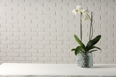 Photo of Blooming orchid flower in pot on white table against light brick wall, space for text