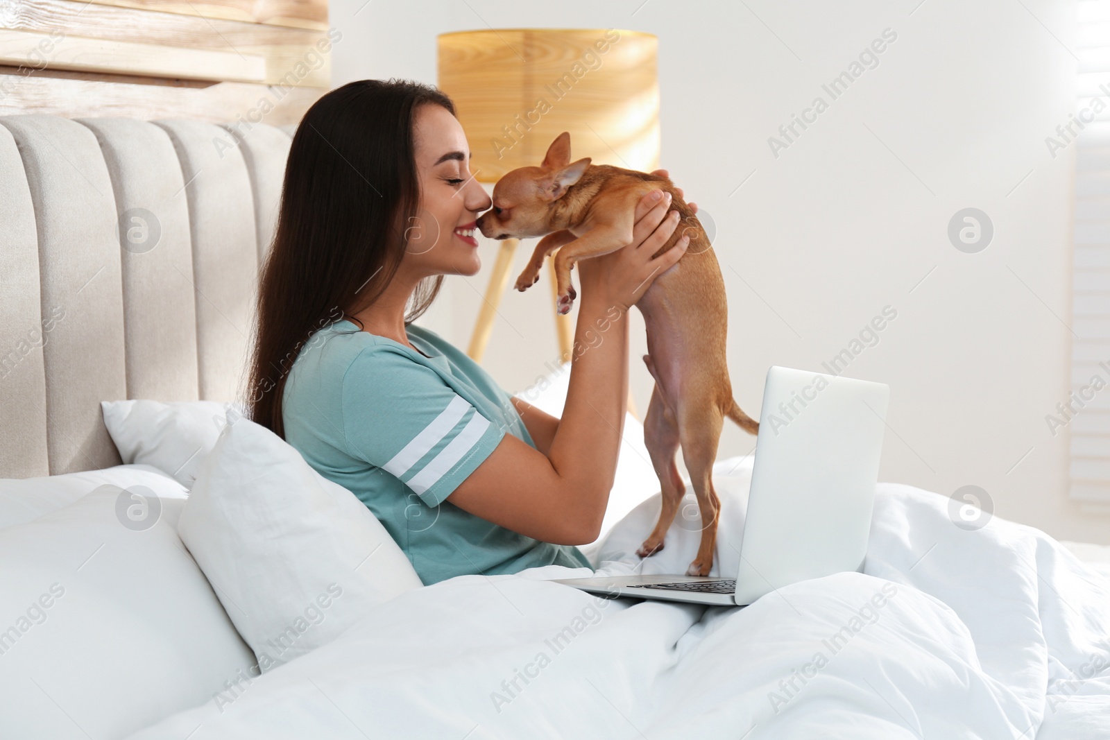 Photo of Young woman with chihuahua and laptop in bed. Home office concept