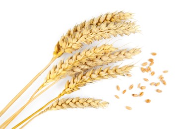Ears of wheat and grains on white background, top view