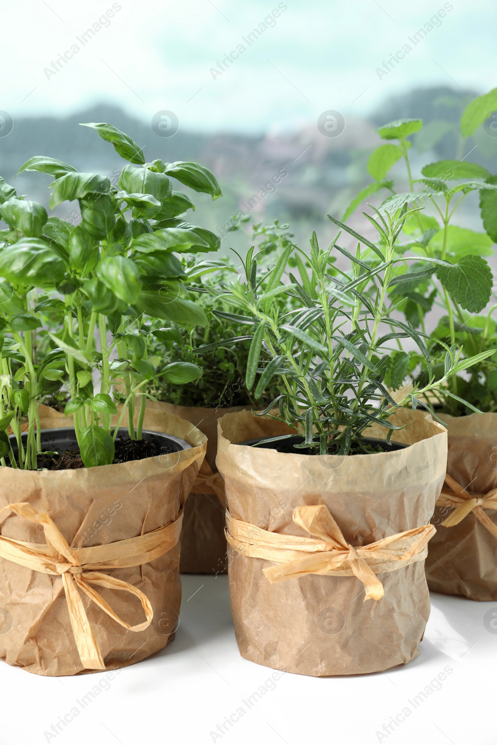 Photo of Different fresh potted herbs on windowsill indoors, closeup