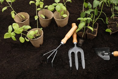 Photo of Seedlings in containers and gardening tools on ground outdoors, above view