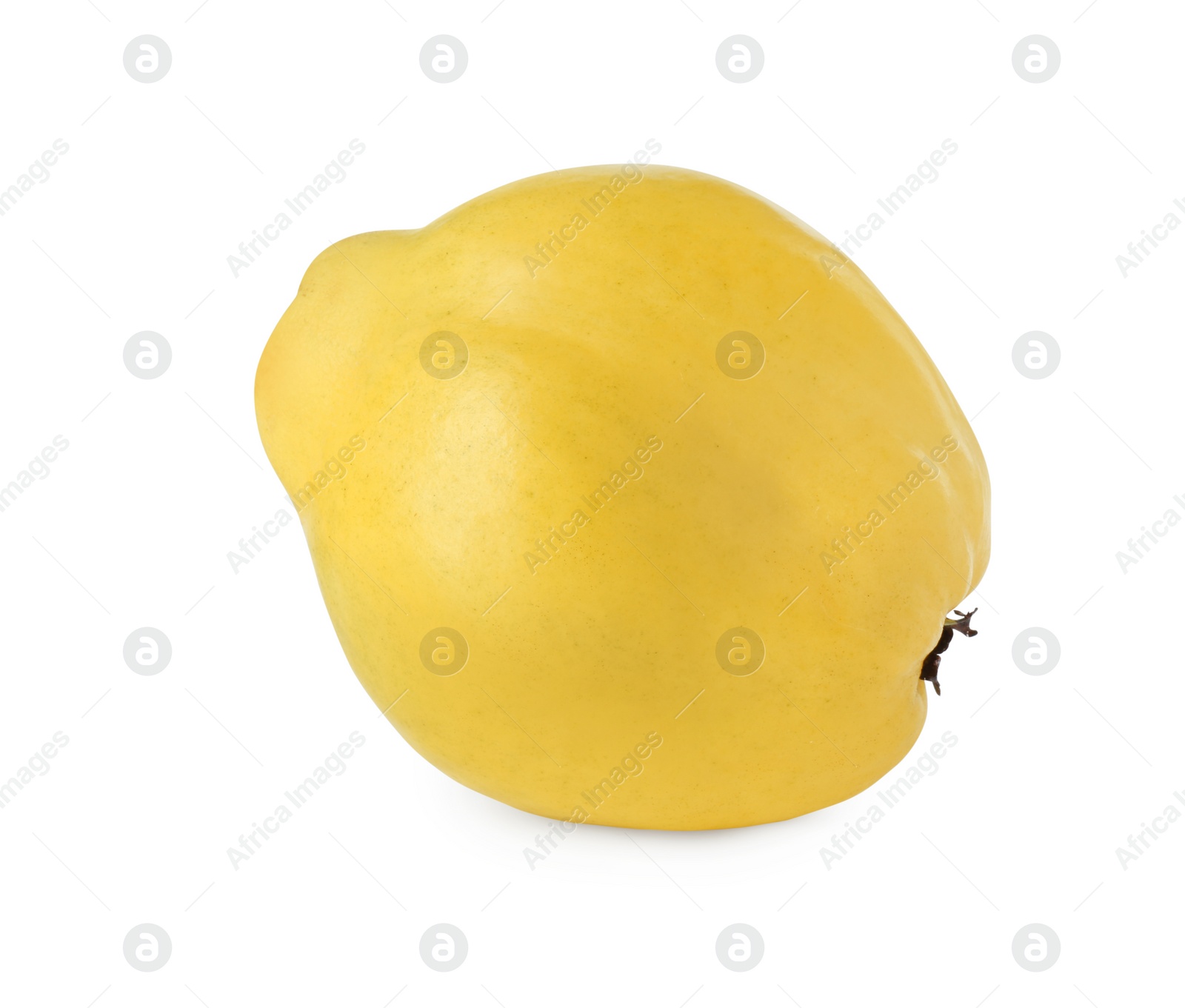 Photo of Delicious fresh ripe quince isolated on white