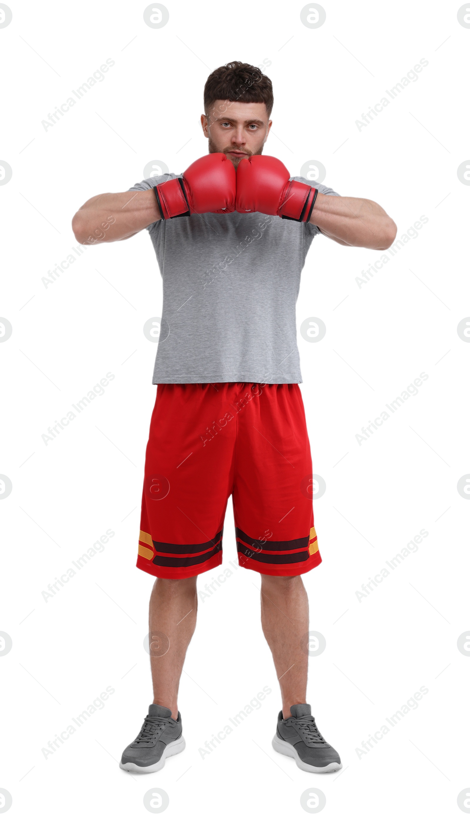 Photo of Man in boxing gloves on white background