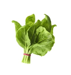 Bundle of fresh spinach isolated on white