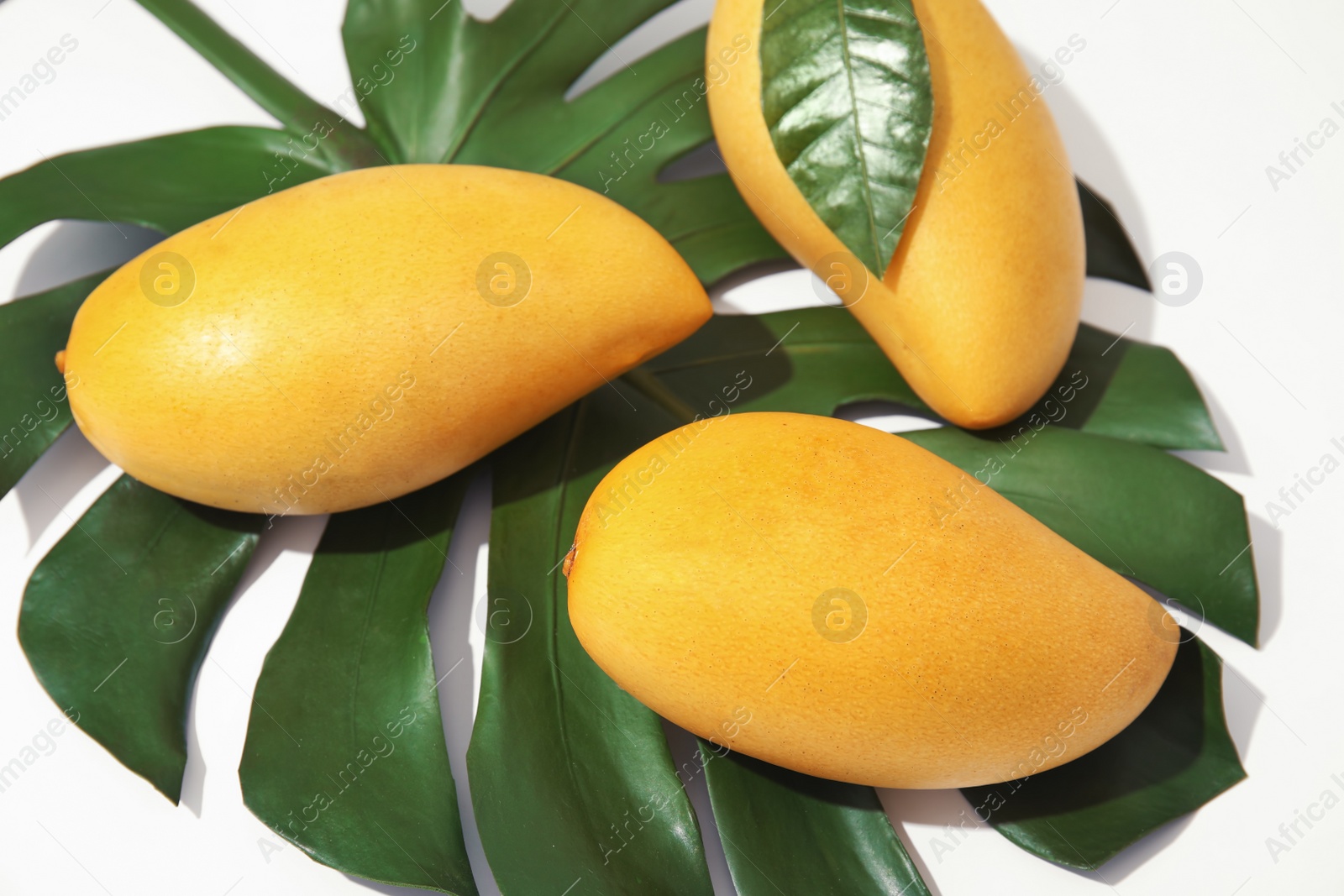 Photo of Composition with fresh mango fruits on white background