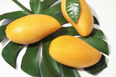 Composition with fresh mango fruits on white background