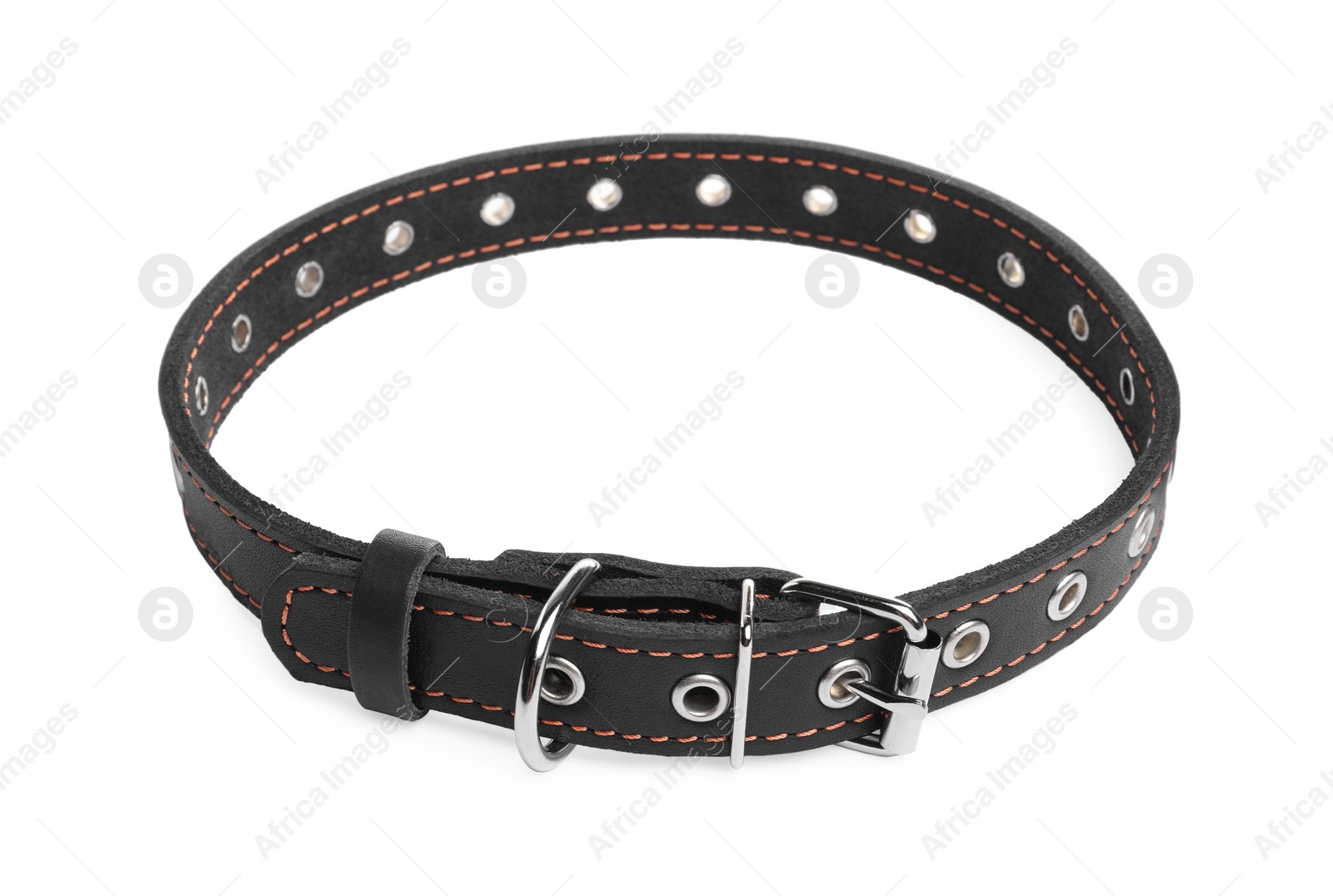 Photo of Black leather dog collar isolated on white