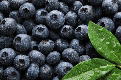 Photo of Wet fresh blueberries with green leaves as background, top view