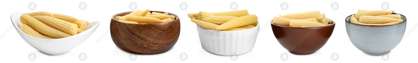 Image of Set with tasty baby corn cobs on white background. Banner design