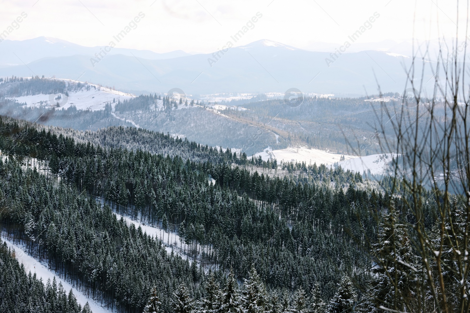 Photo of Beautiful mountain landscape with forest on sunny day in winter