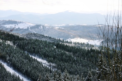 Beautiful mountain landscape with forest on sunny day in winter