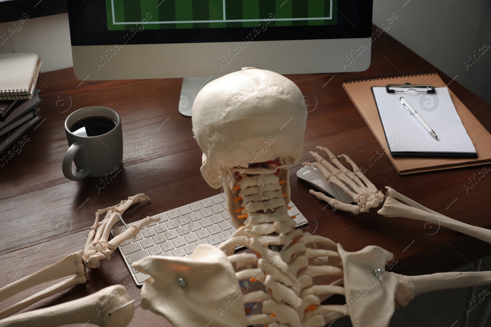 Photo of Human skeleton at table in office, back view