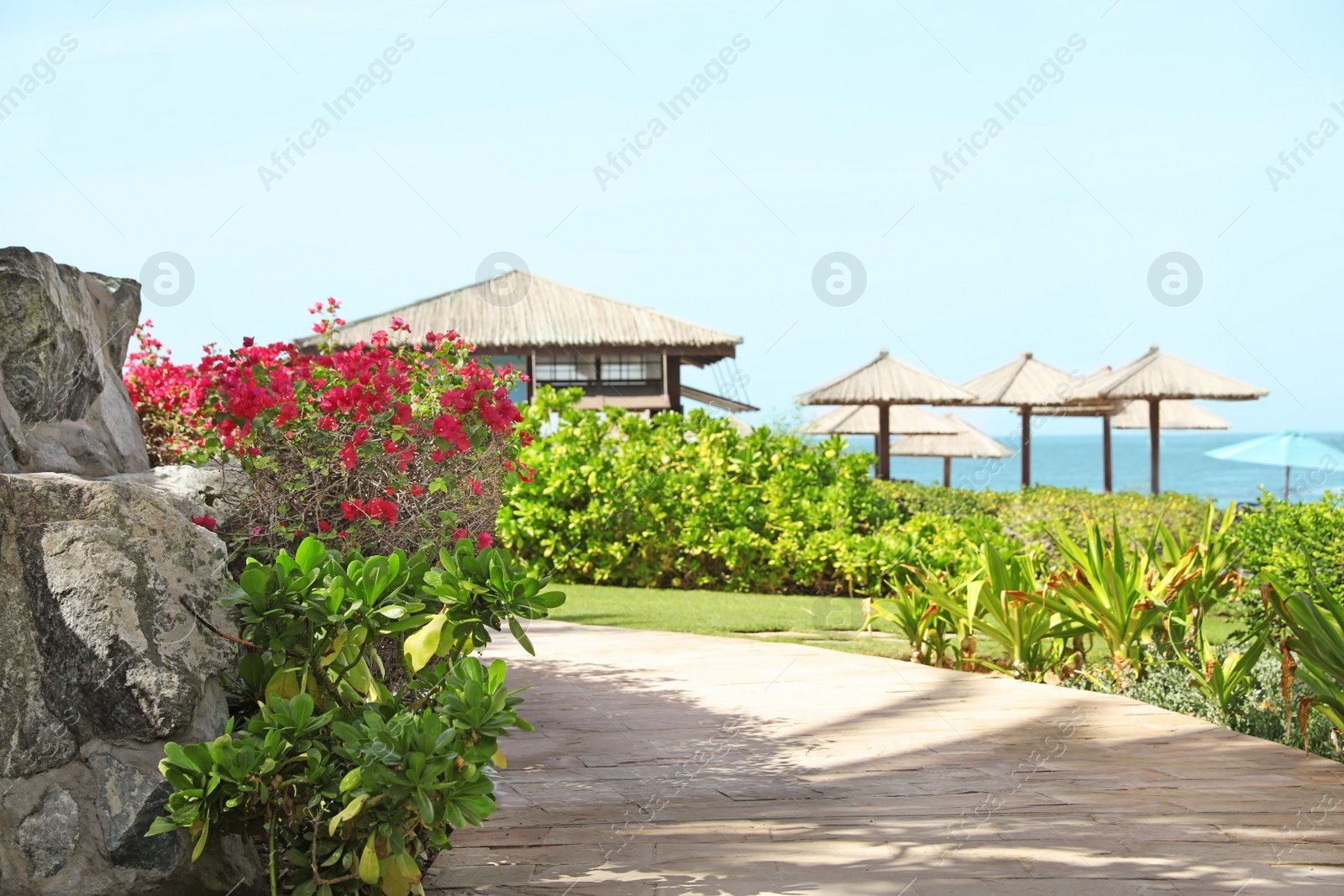 Photo of Beautiful landscape with tropical plants and beach umbrellas on sunny day